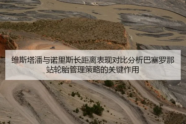 维斯塔潘与诺里斯长距离表现对比分析巴塞罗那站轮胎管理策略的关键作用