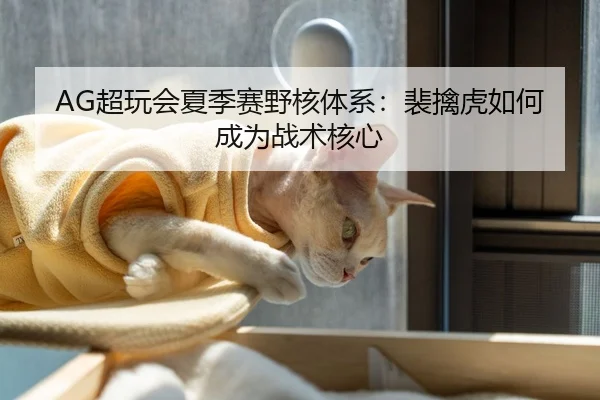 AG超玩会夏季赛野核体系：裴擒虎如何成为战术核心